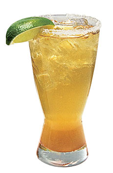 shandy.jpg