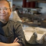 Morimoto Napa