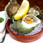 Whelks-thumb-300x200-thumb-300x200-thumb-300x200