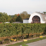 Vineyard-thumb-300x182-thumb-300x182