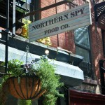 northernspy1-3