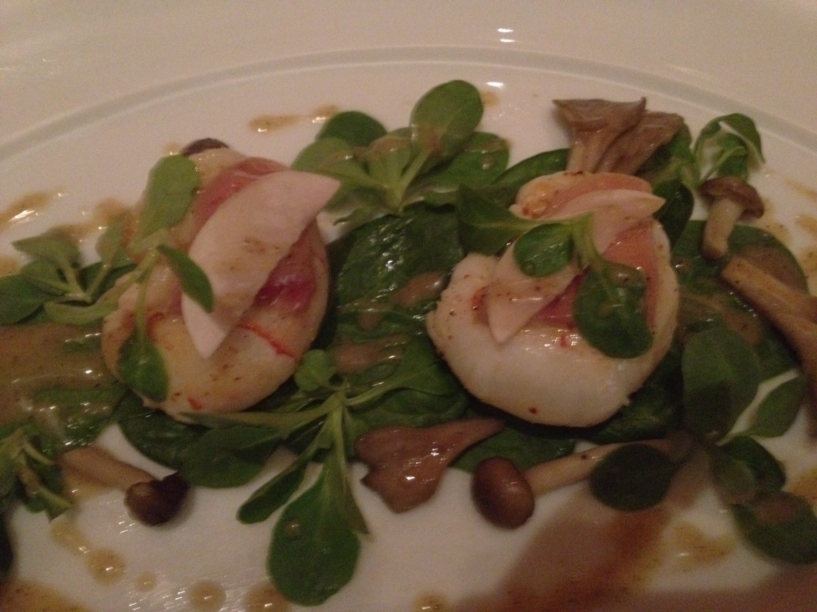 Dishspotting:Le Bernardin Lounge's Geoduck