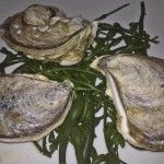 clams