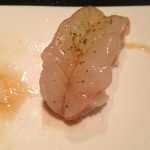 shrimp