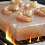 Saltplatewshrimp