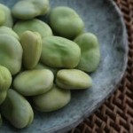 fava1