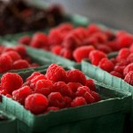 GARDEN CROPS