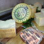 sardiniancheese