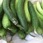 English Cucumbers