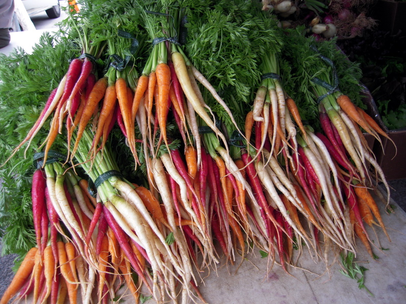 Falling in Love With Carrots