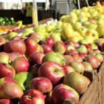 apples