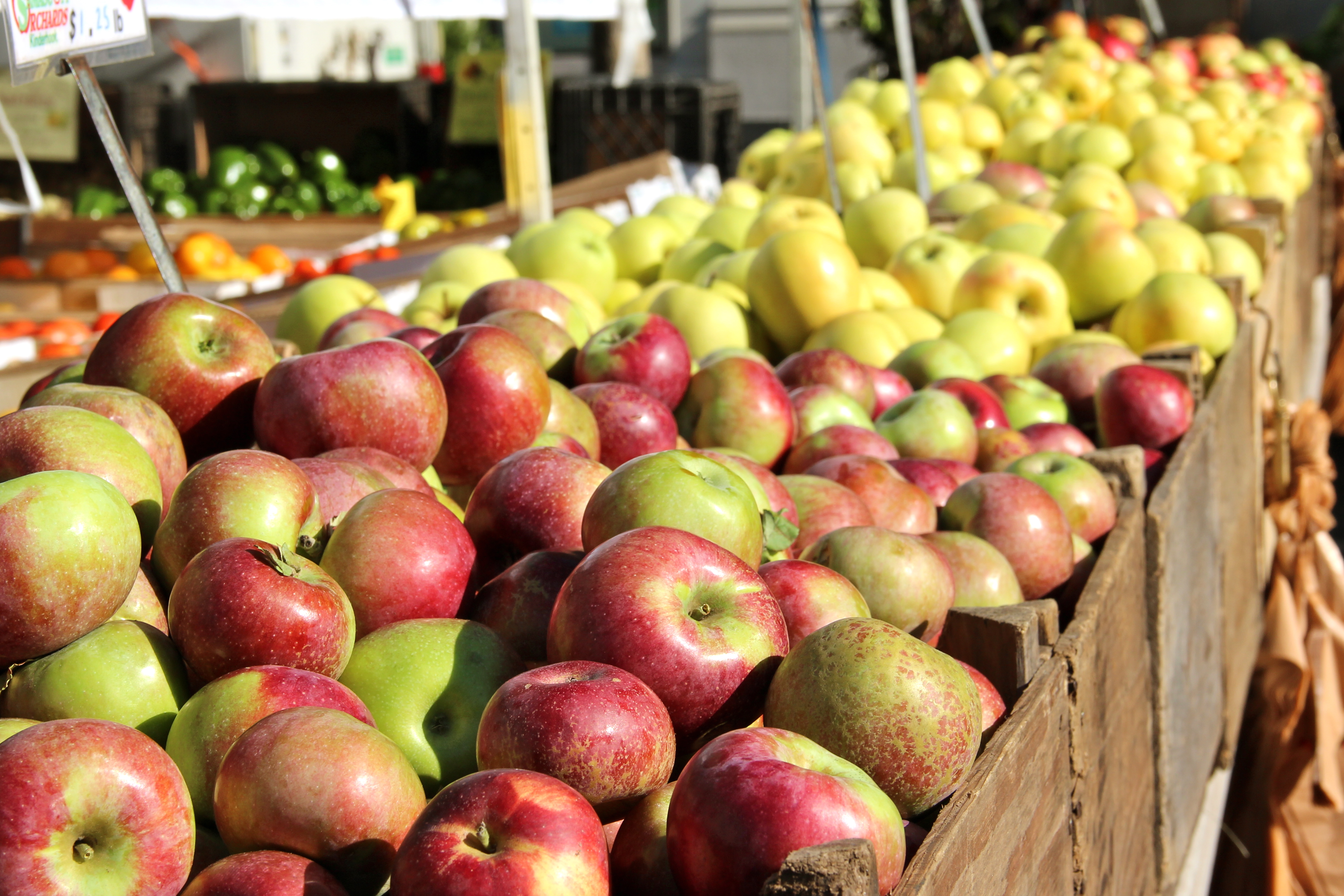 Seasonal Eats: Apples