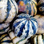Squash