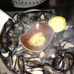 mussels