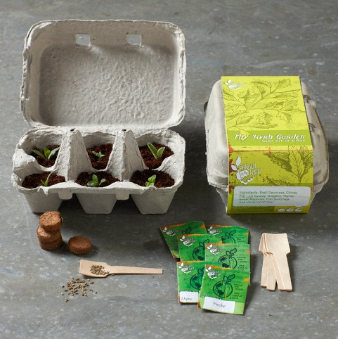 Herb Garden Kit