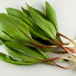 ramps-wild-leeks