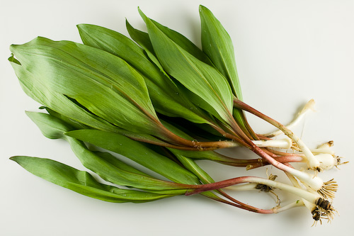 Seasonal Eats: Ramps