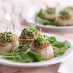 seared-scallops
