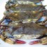 Seasonal Eats: Soft Shell Crabs