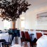 Topping Rose House – Reviewed