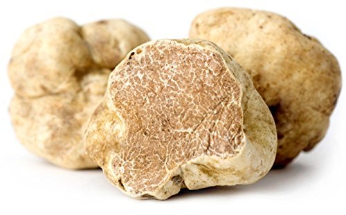 Italy white truffle