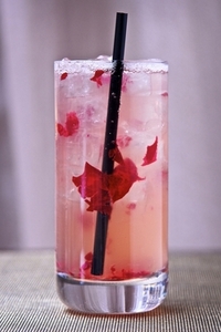 Thumbnail image for valentine_cocktailpranna.JPG