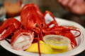 The Lobster Place and <em>Cull & Pistol</em>