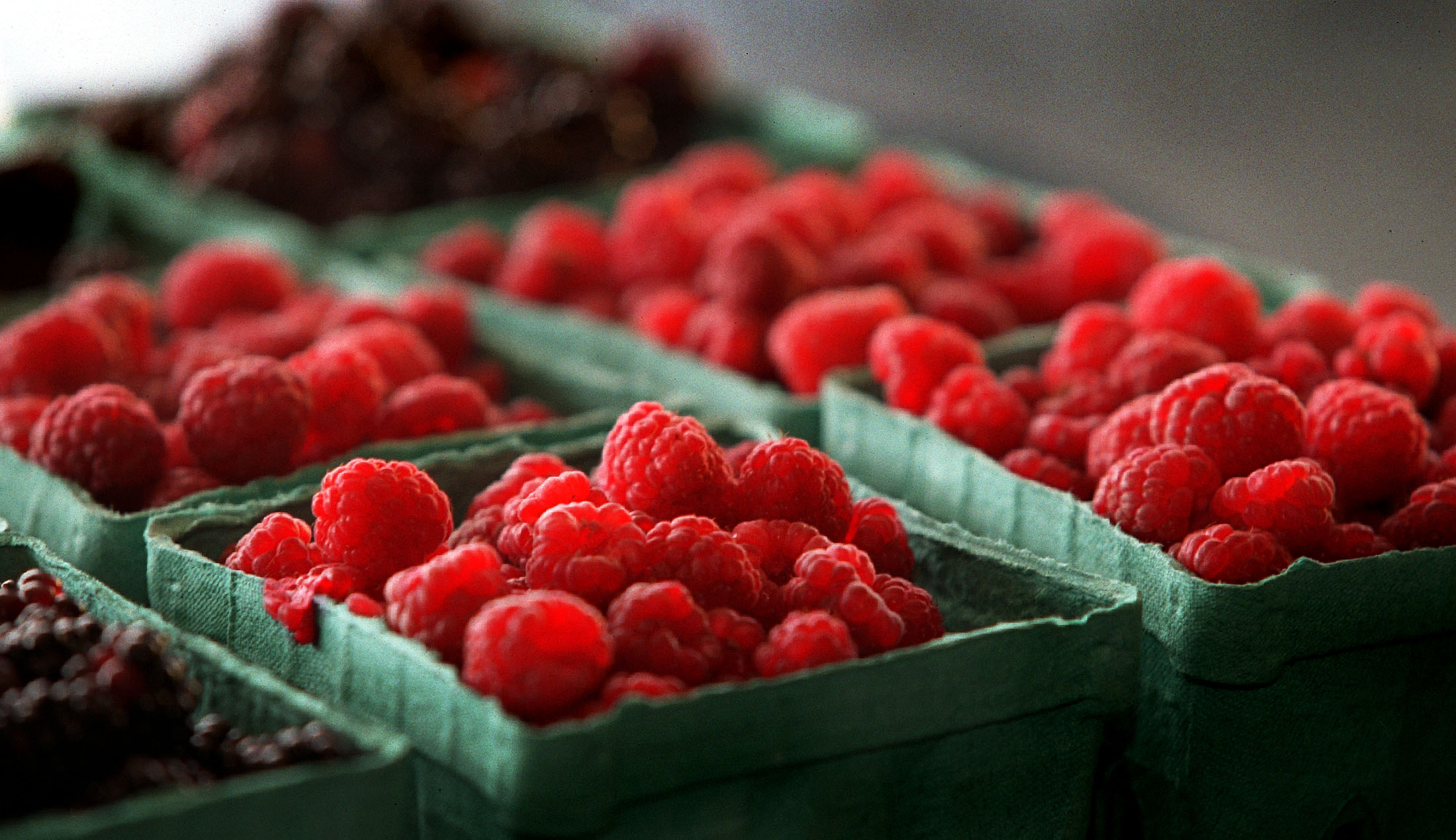 Raspberries in Season