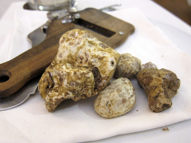 Best Truffle Dishes in NYC